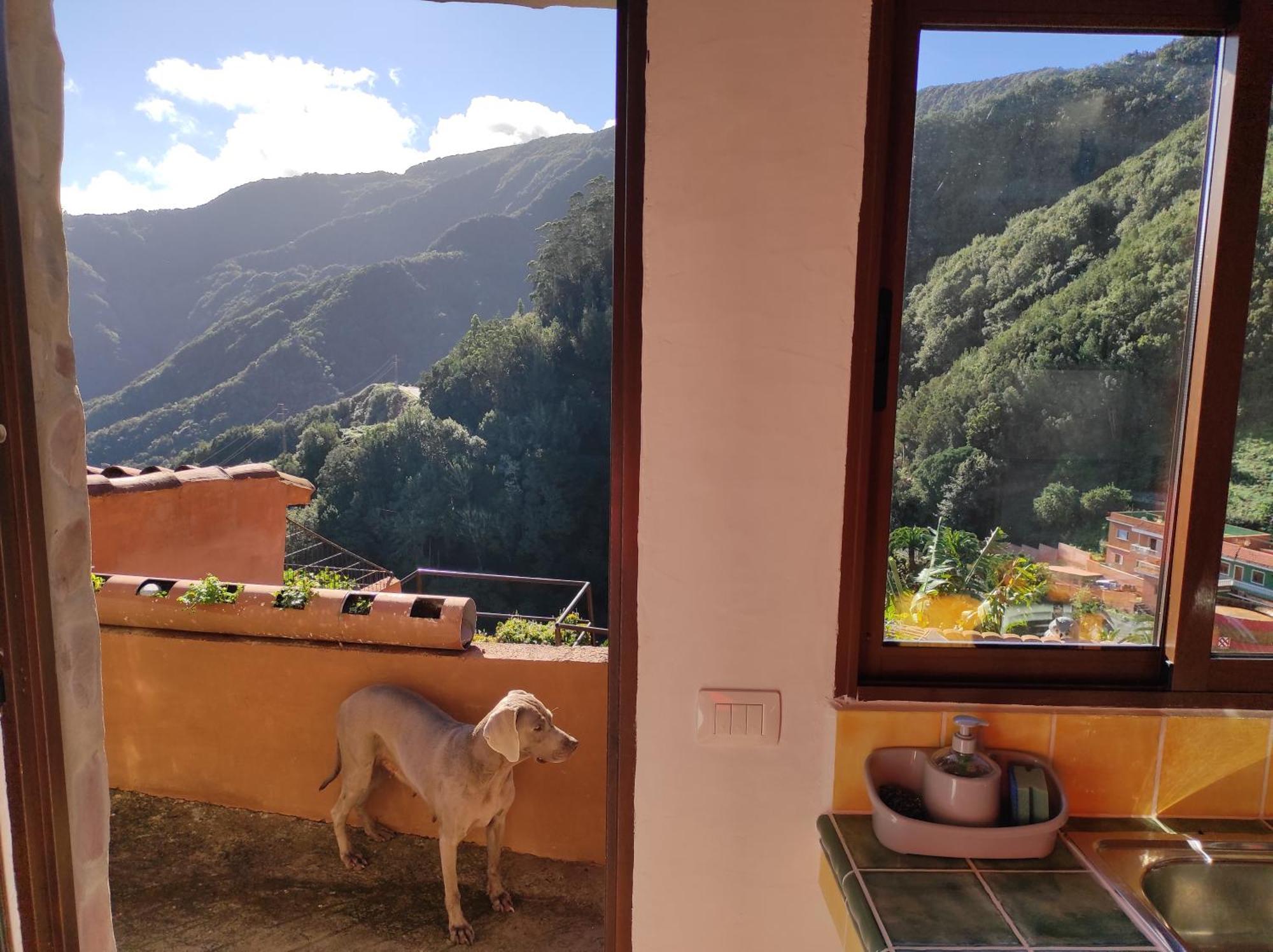 Casa Las Montanas De Anaga Σαν Κριστόμπαλ ντε Λα Λαγούνα Εξωτερικό φωτογραφία